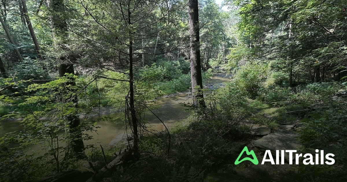Best hikes and trails in Otter Creek Nature Preserve | AllTrails