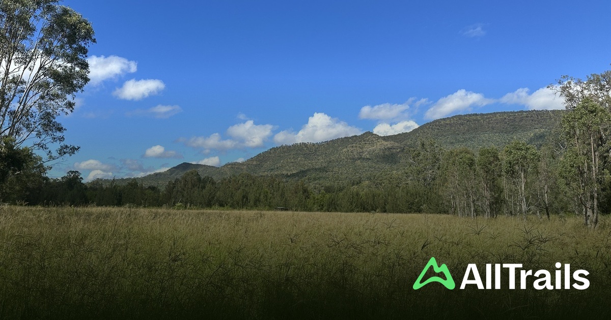 10 Best hikes and trails in Main Range Conservation Park | AllTrails