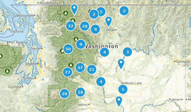 Best Bird Watching Trails In Okanogan Wenatchee National Forest Alltrails