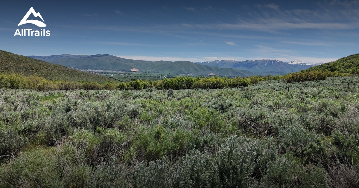 Best Hikes with Dogs Utah List AllTrails