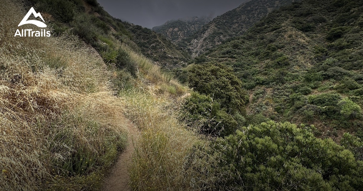 beginners hikes List AllTrails