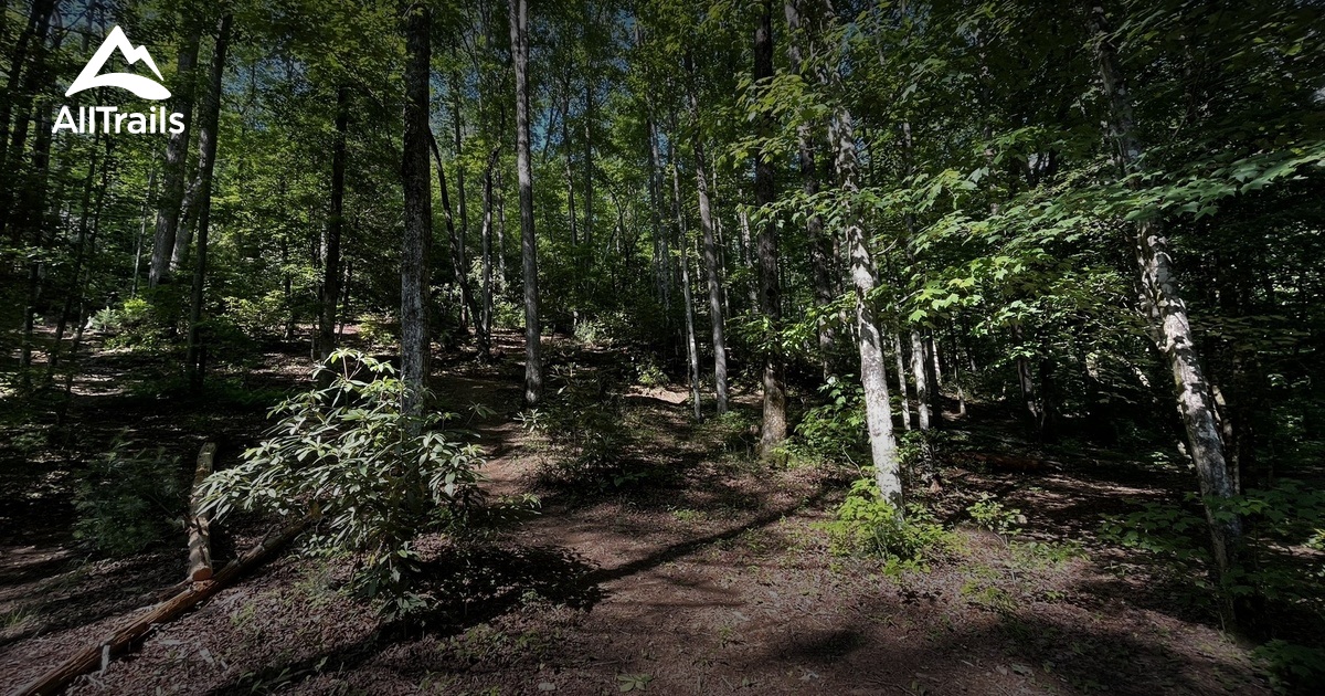 Mortimer Campground List AllTrails