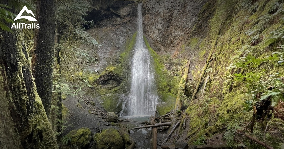 Olympic Pen Craigslist Collection