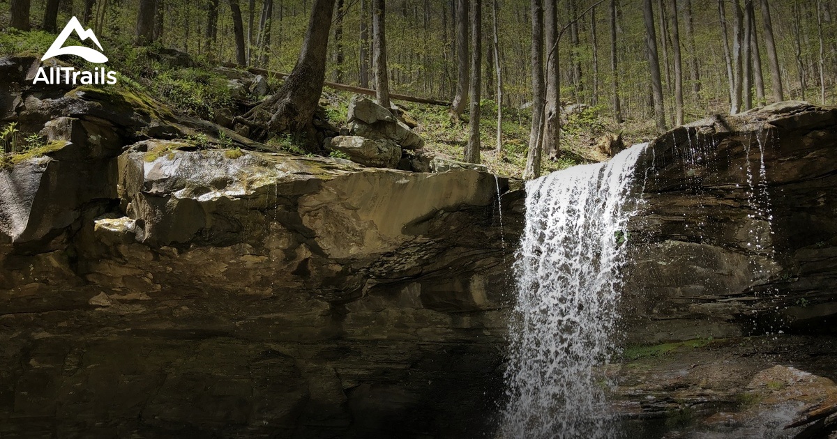 Frozen Head State Park Map Hikes In Frozen Head State Park | List | Alltrails