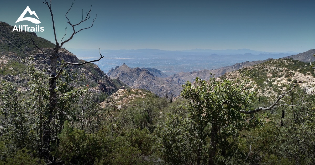 Mount Lemmon Testing List AllTrails