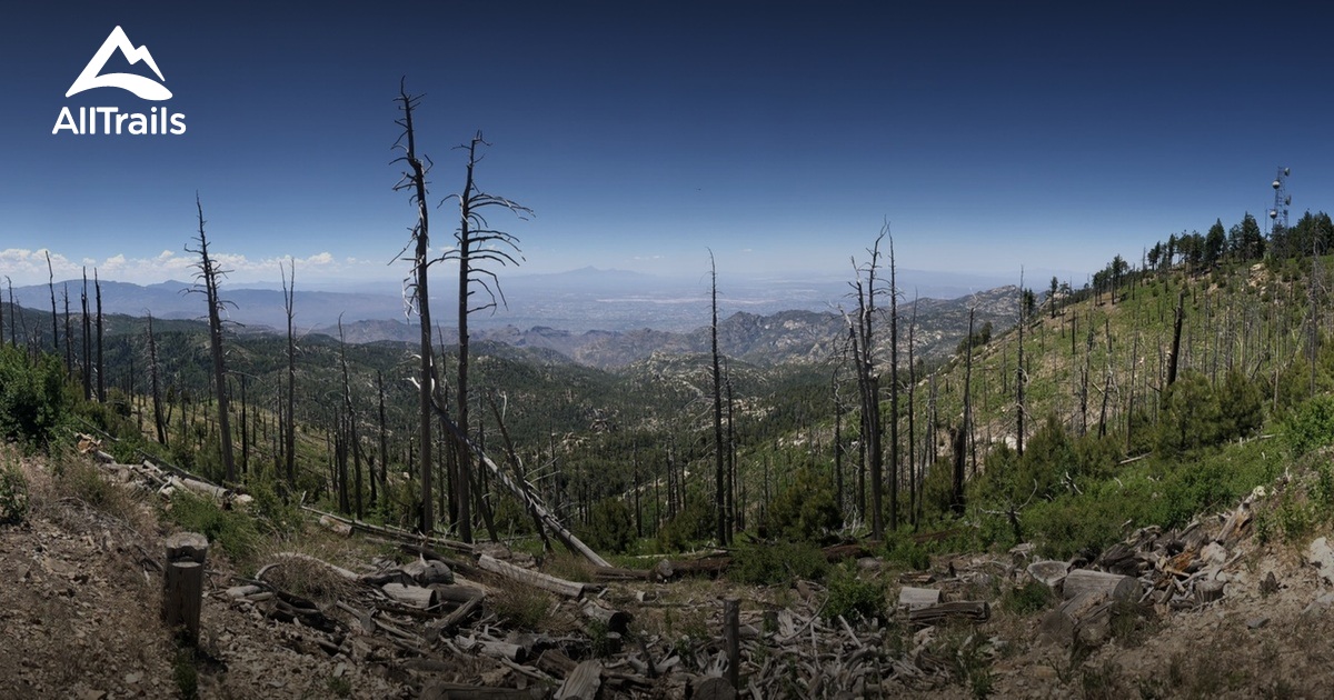 Mt Lemmon List AllTrails