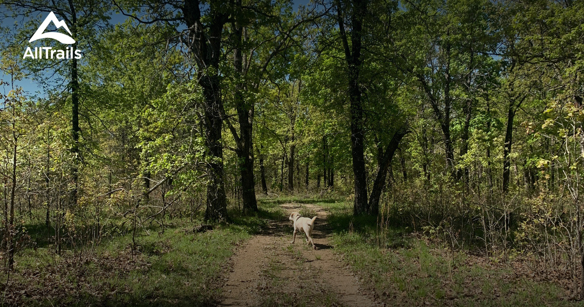 Lead Mine Conservation Area List AllTrails
