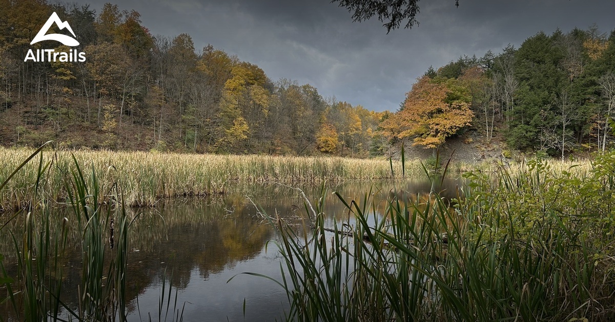 Buttermilk Falls State Park List AllTrails