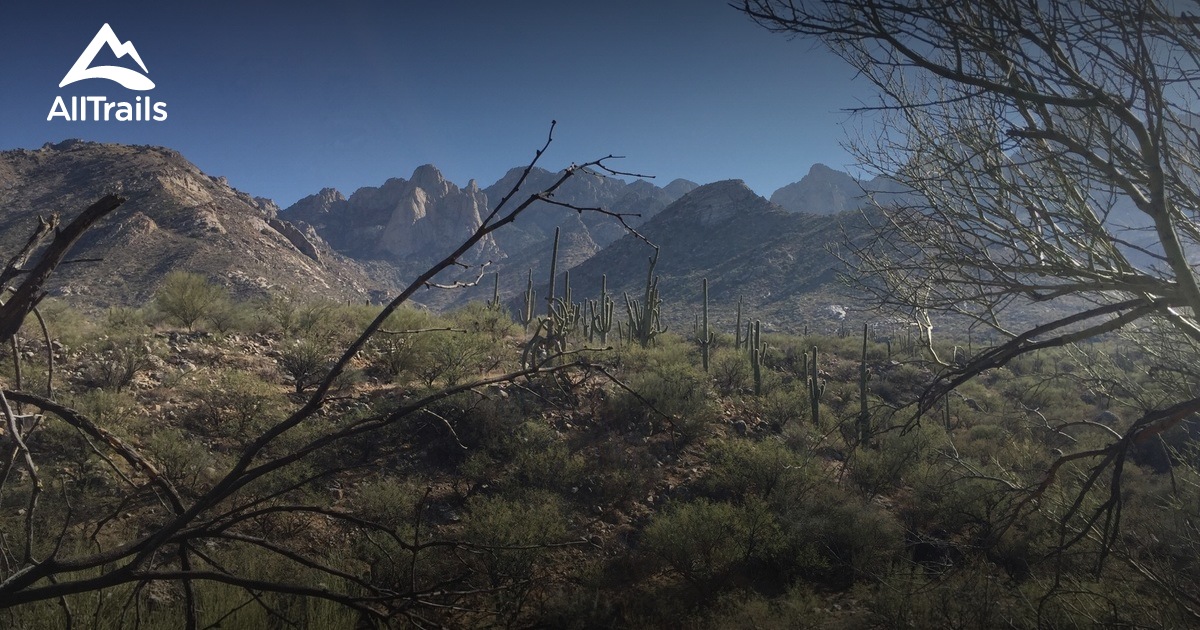 oro valley hikes AllTrails