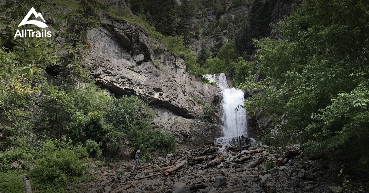 dog hikes/walks List AllTrails