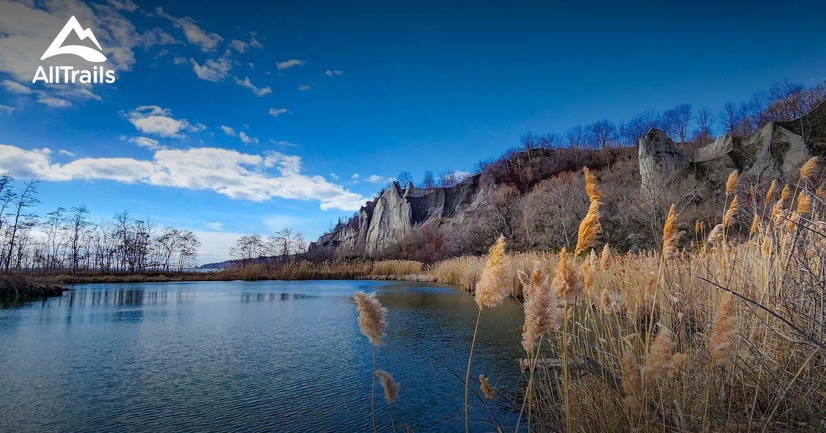 Dog Friendly Toronto List AllTrails