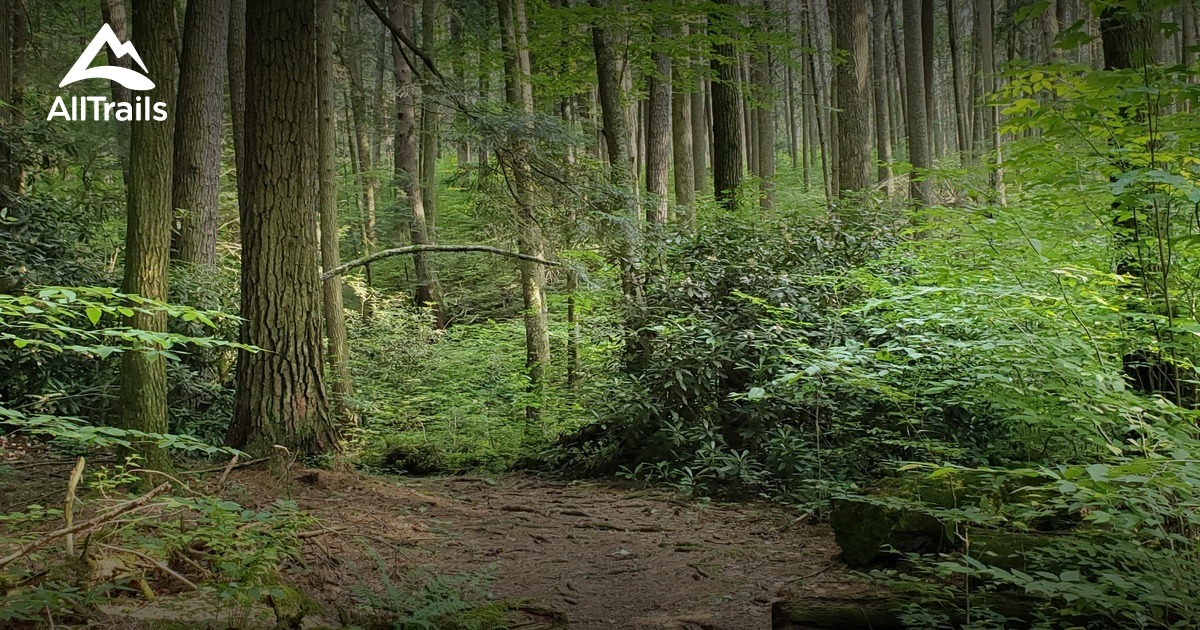 Alan Seeger Natural Area List AllTrails