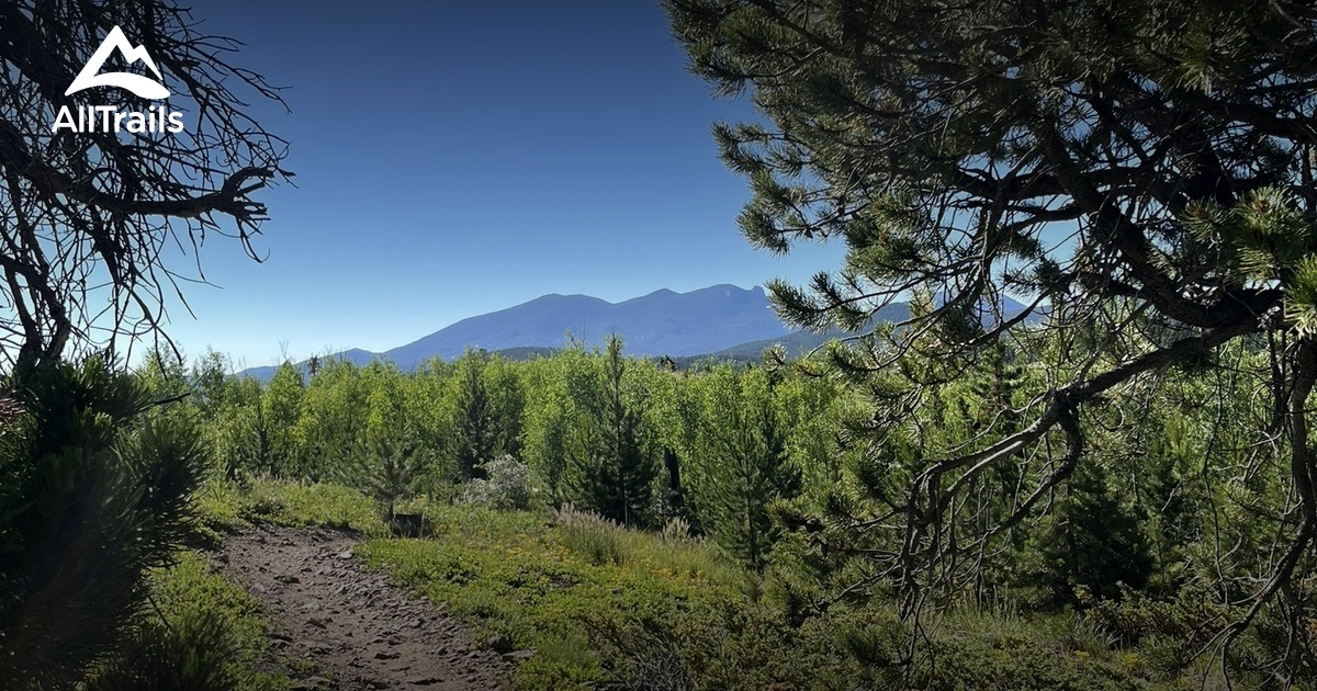 Easy Mountain Biking List AllTrails