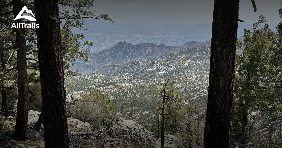 Mt Lemmon short hike w/ dog List AllTrails