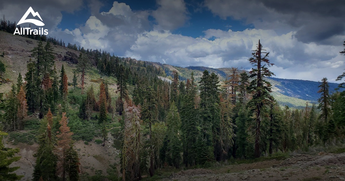 Blackwood Canyon OHV trail, Lake TAhoe List AllTrails