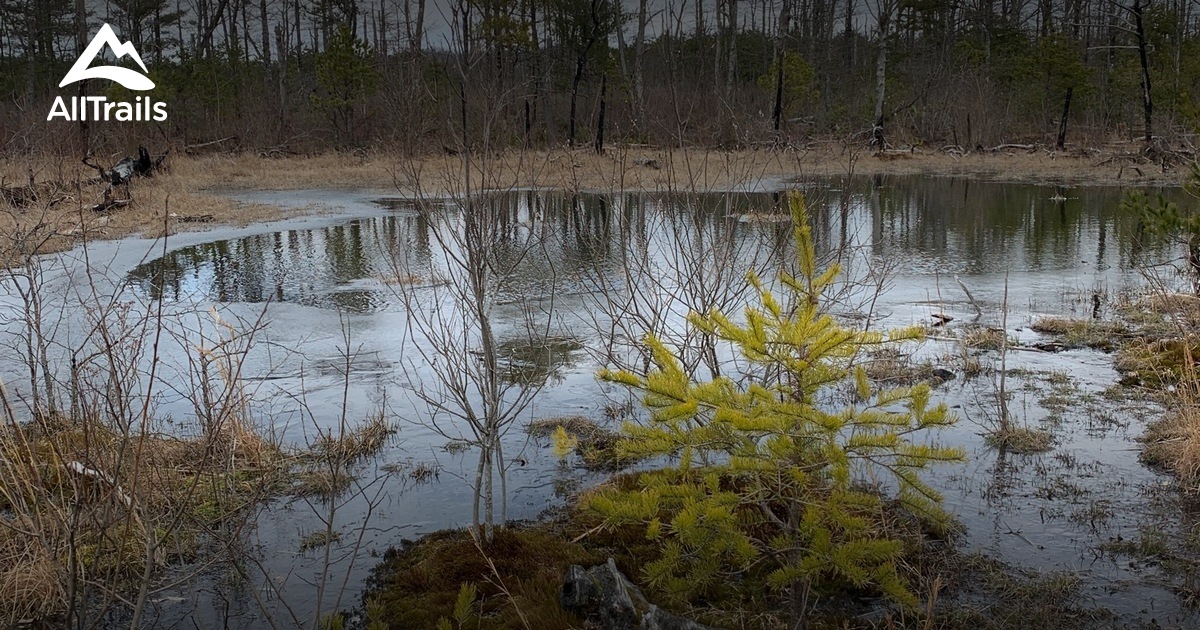 pineville List AllTrails