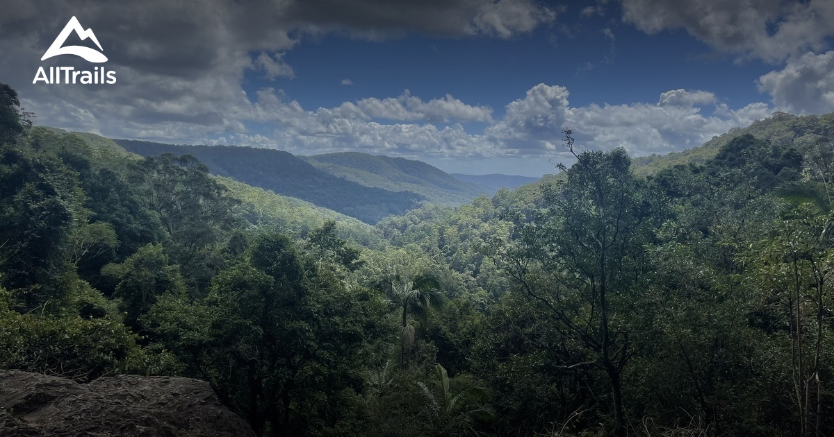 Springbrook National Park List AllTrails