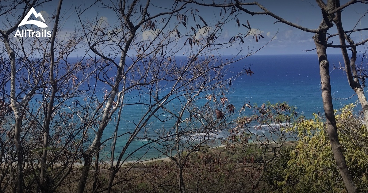  Oahu Rock Climbing List AllTrails