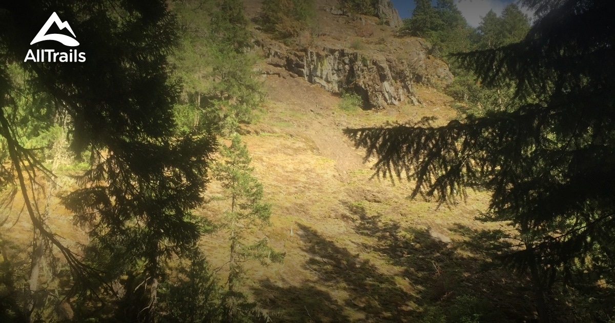 Mt Rainier List AllTrails