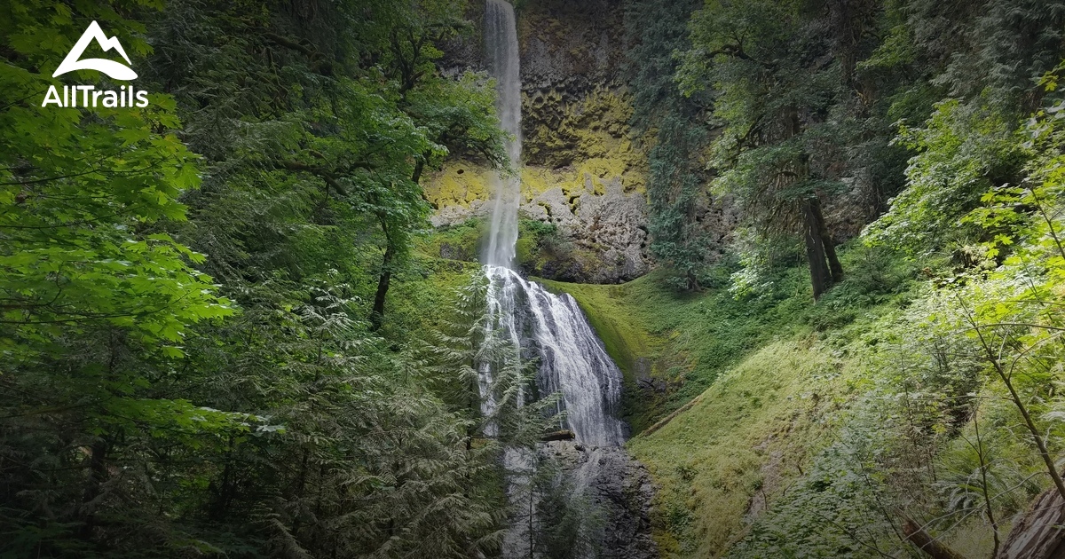 Portland Dog Run Hikes List AllTrails