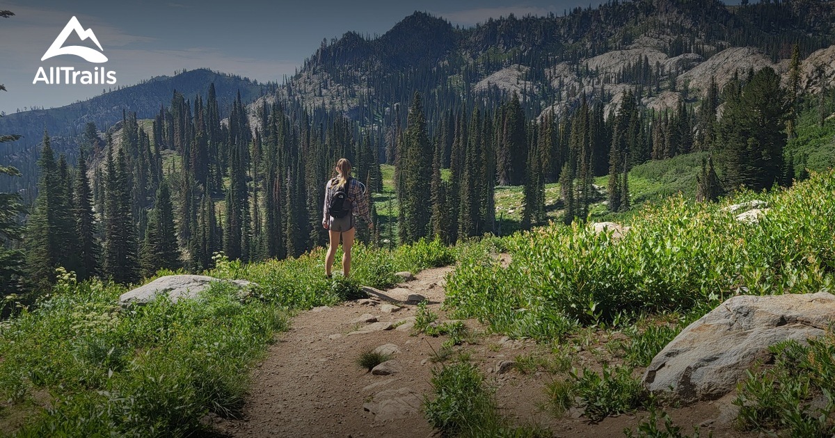 Hikes In Boise National Forest | List | AllTrails