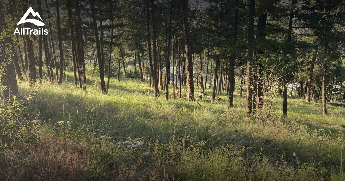 Glenmore Trails List AllTrails