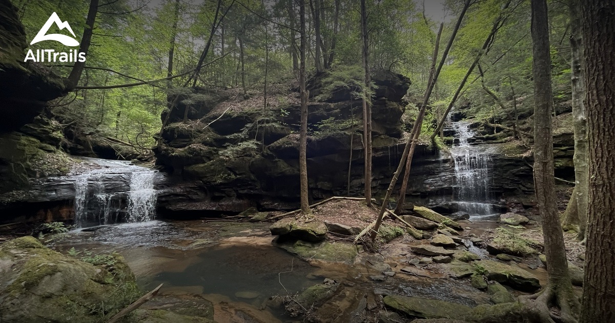 Sipsey Wilderness waterfalls List AllTrails