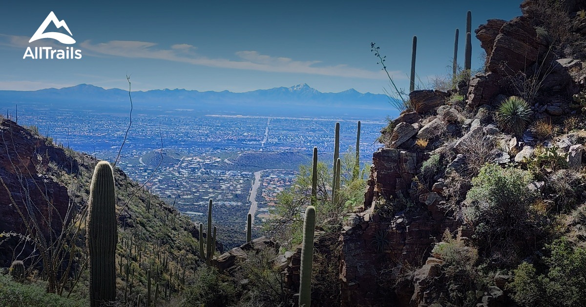 Mt. Lemmon Trip List AllTrails