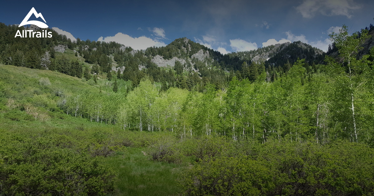 Best dog friendly hikes Salt Lake area List AllTrails