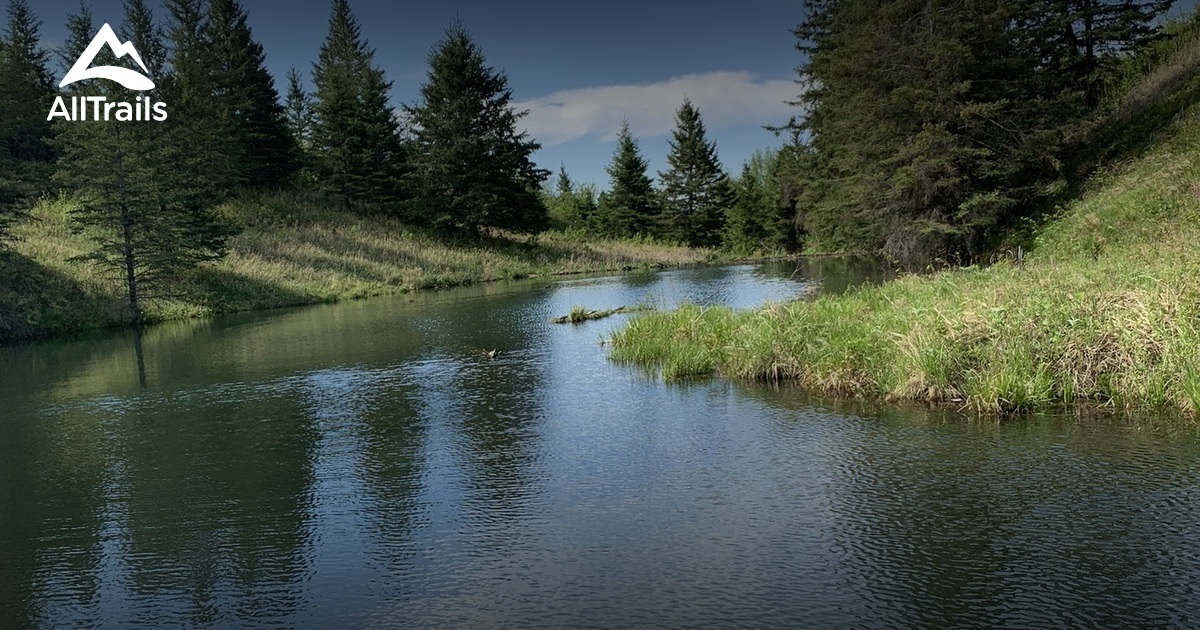 Spruce woods provincial park List AllTrails
