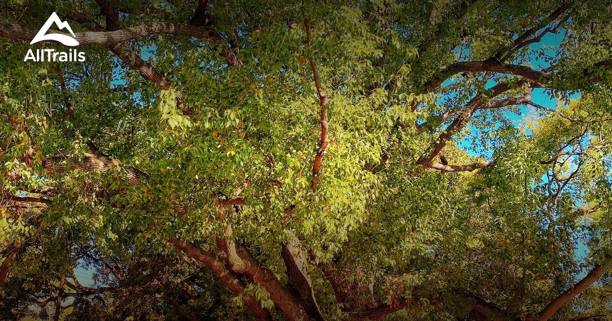 Perth CBD List AllTrails