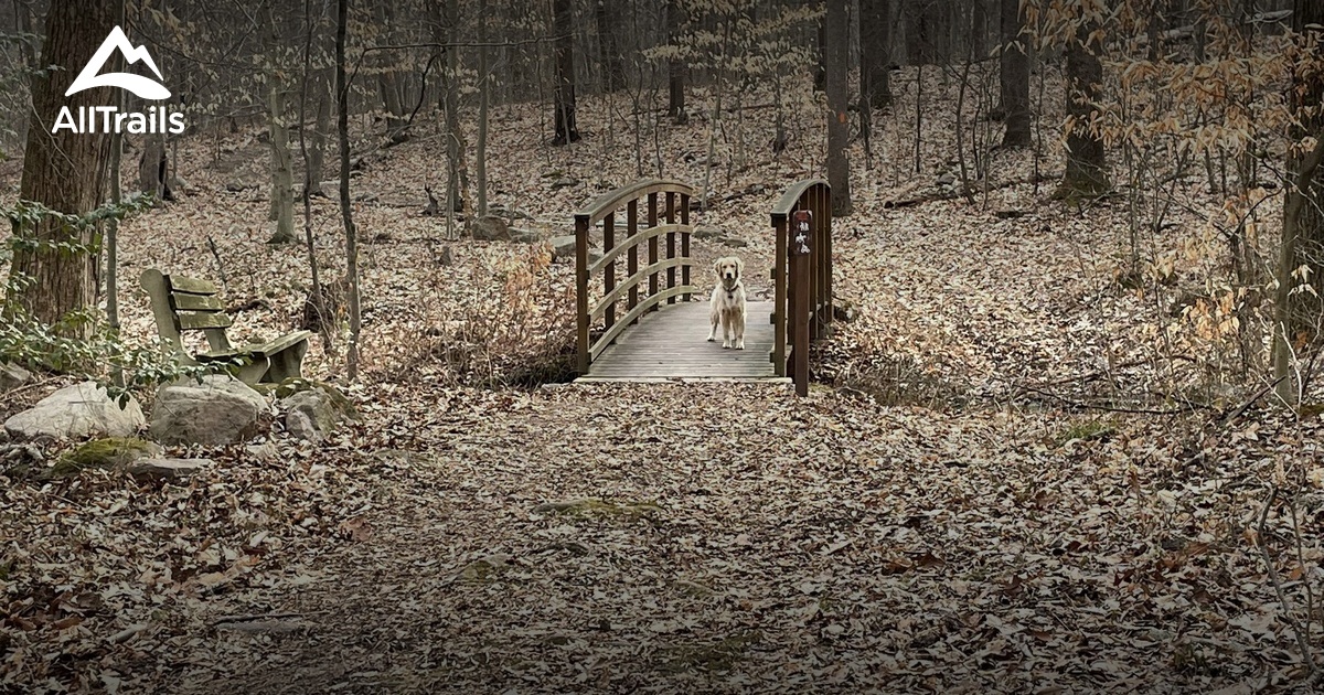 Coventry Woods Park List AllTrails