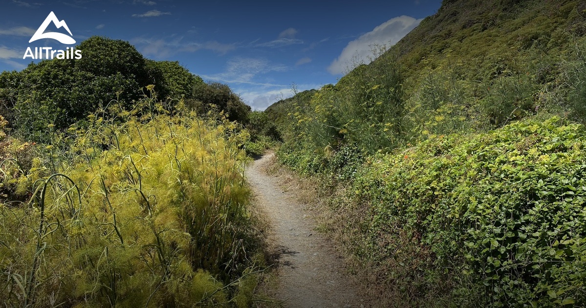 Lower North Island List AllTrails