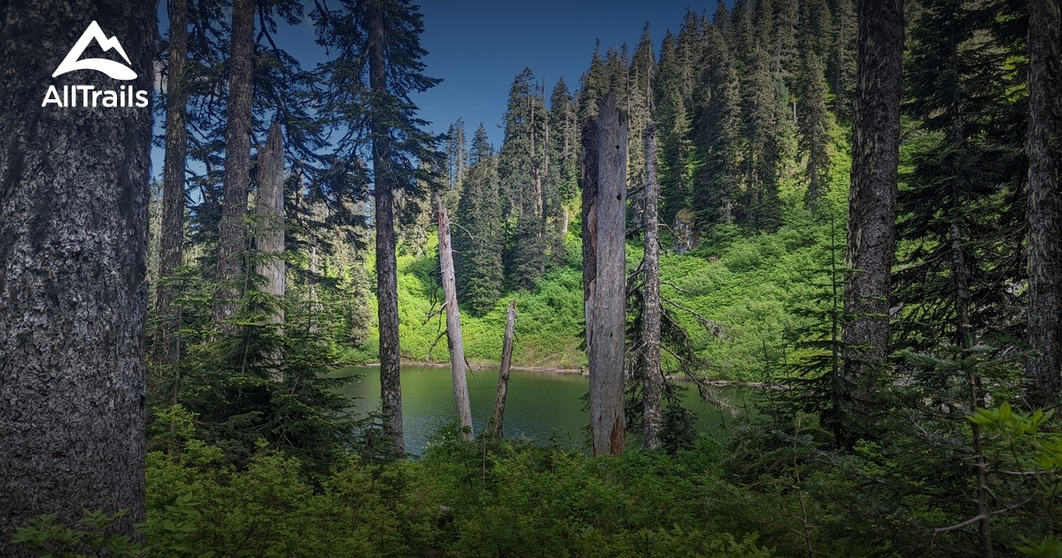 Gifford Pinchot List AllTrails