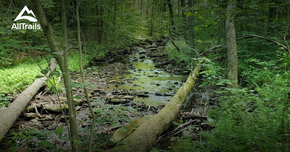 Up at camp List AllTrails