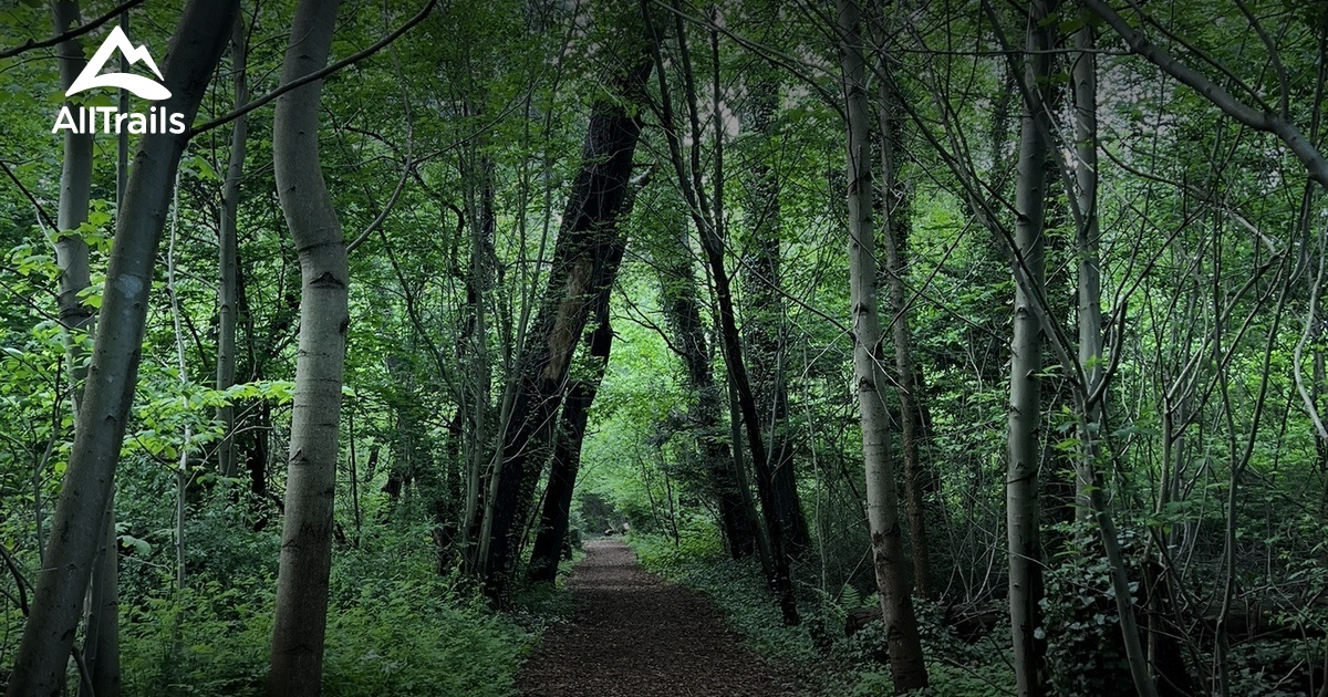 king's Point Loop, Great Neck LI List AllTrails