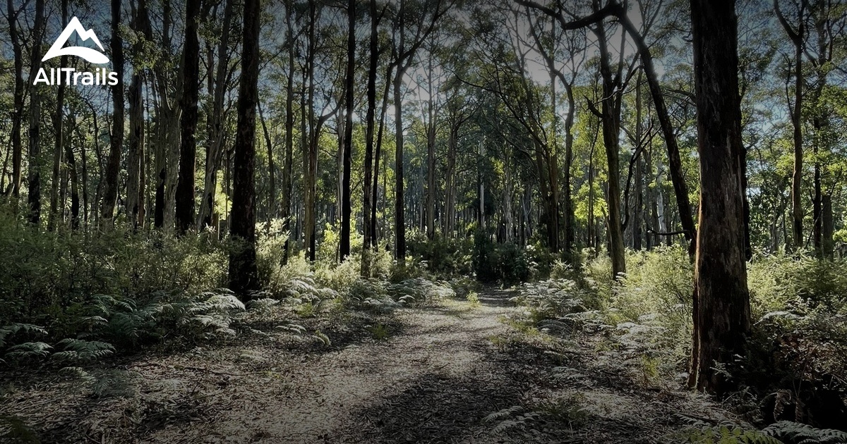 hikes round Melbourne List AllTrails