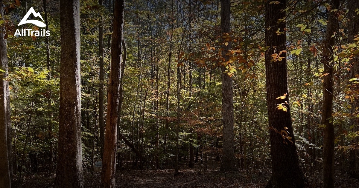 Umbrella Trail List AllTrails