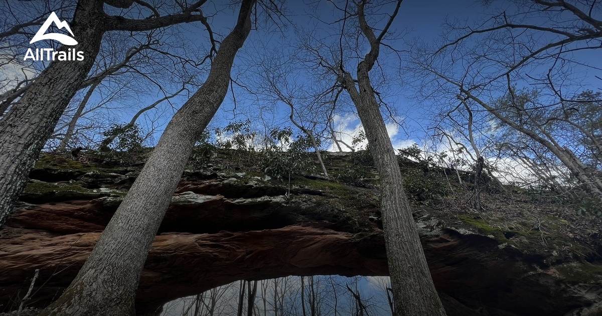 Salt Lick Area List AllTrails