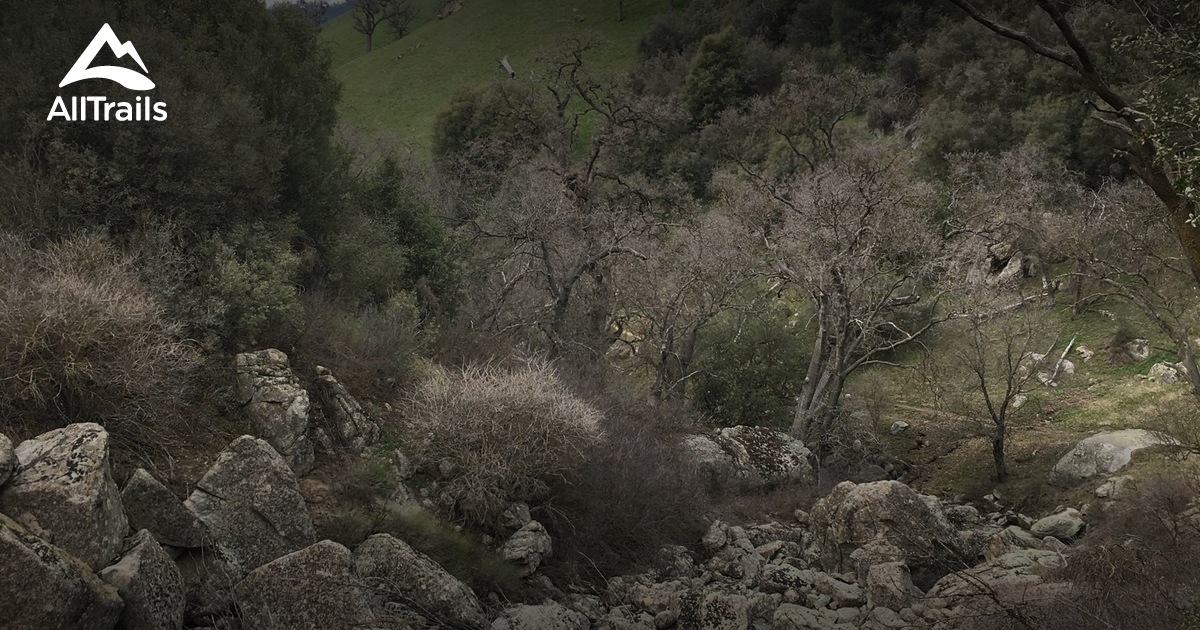 Weather in bear valley springs