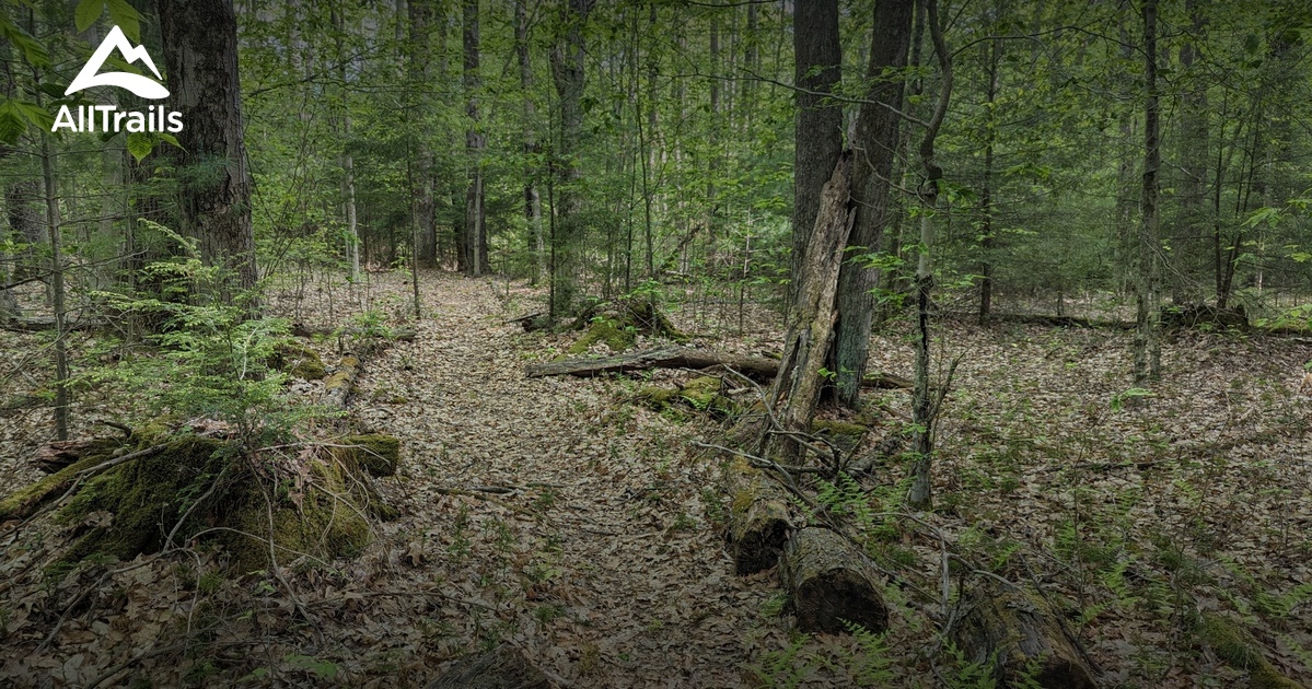 Tidioute/Warren Hiking List! List AllTrails