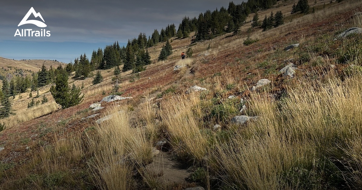 Hwy 108 Sonora Pass List AllTrails