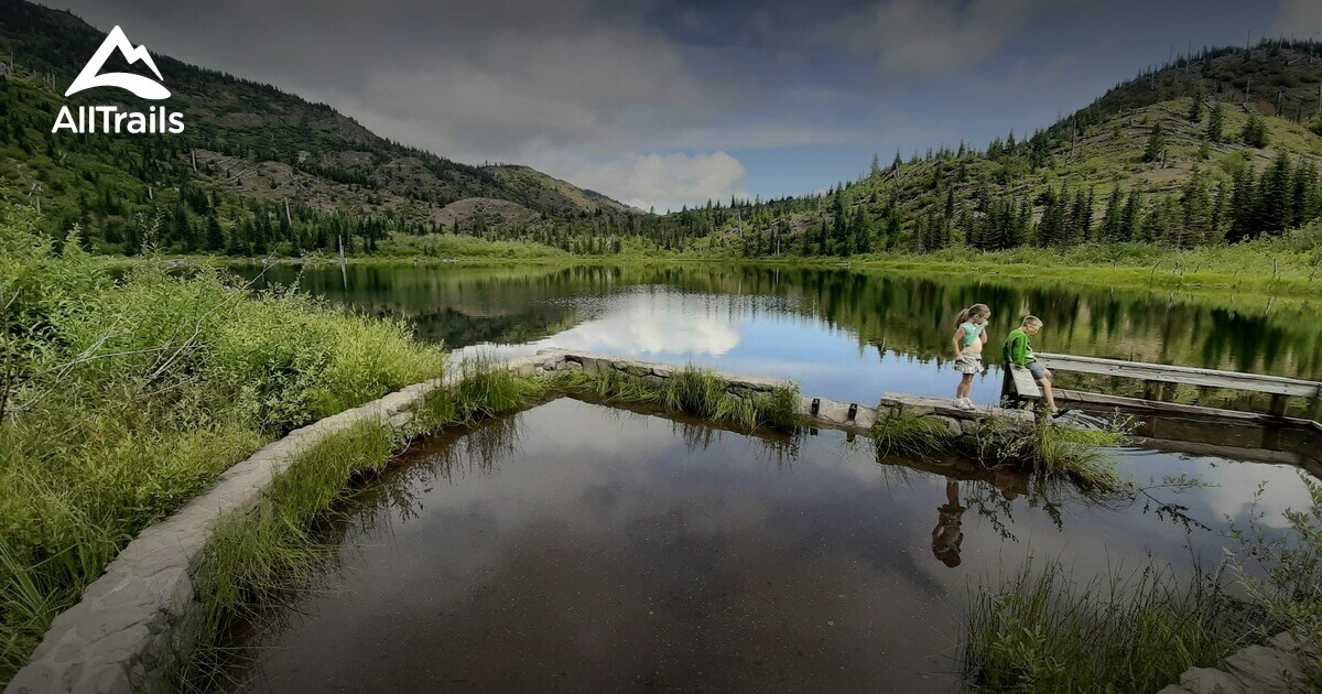 Mount St. Helens trails List AllTrails