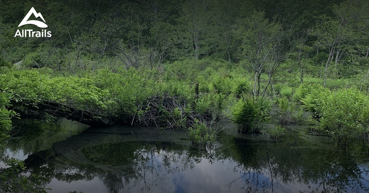 Arcadia Management Area List AllTrails