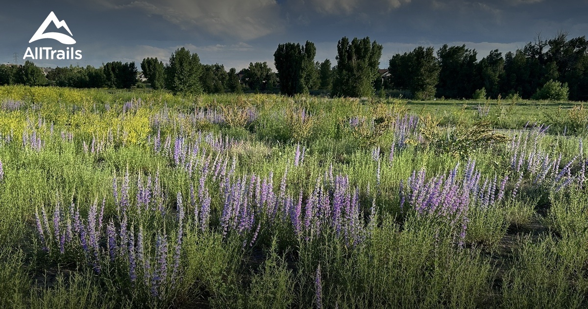 Denver Area Walking Trails List AllTrails