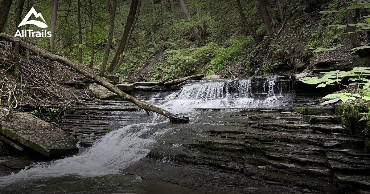Hikes to do around Geneseo List AllTrails