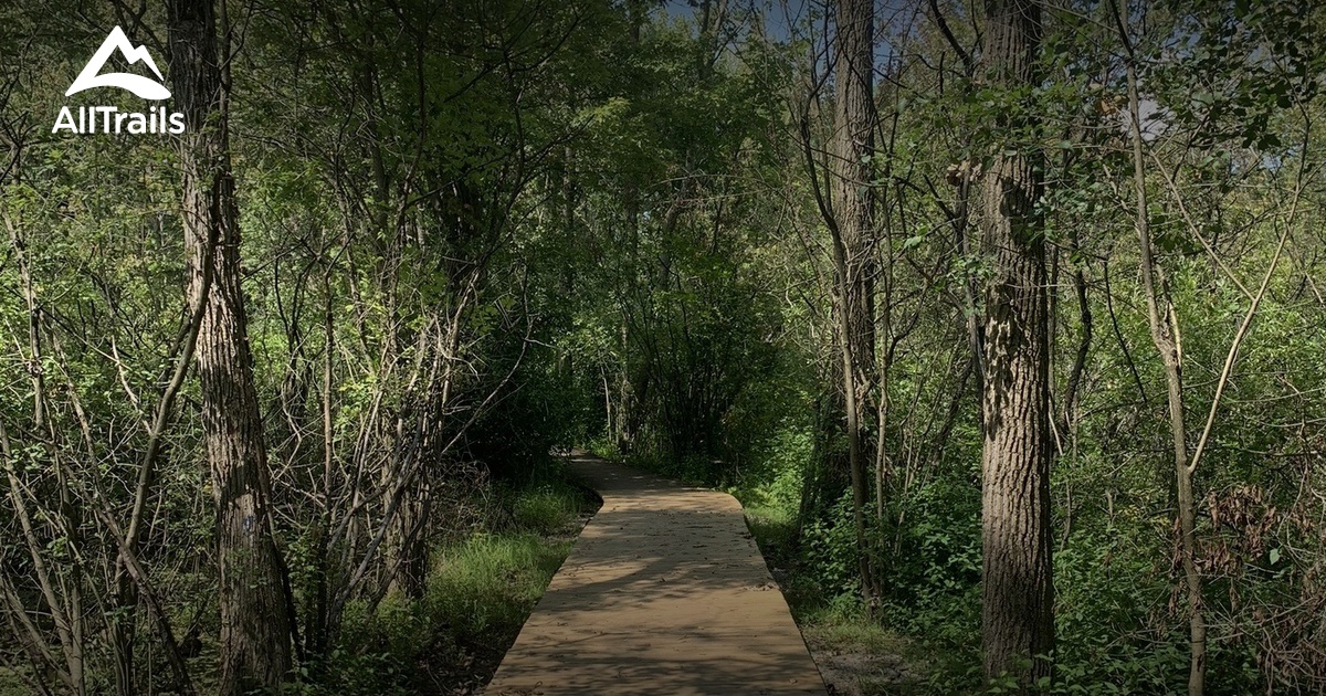 Hard in the paint List AllTrails