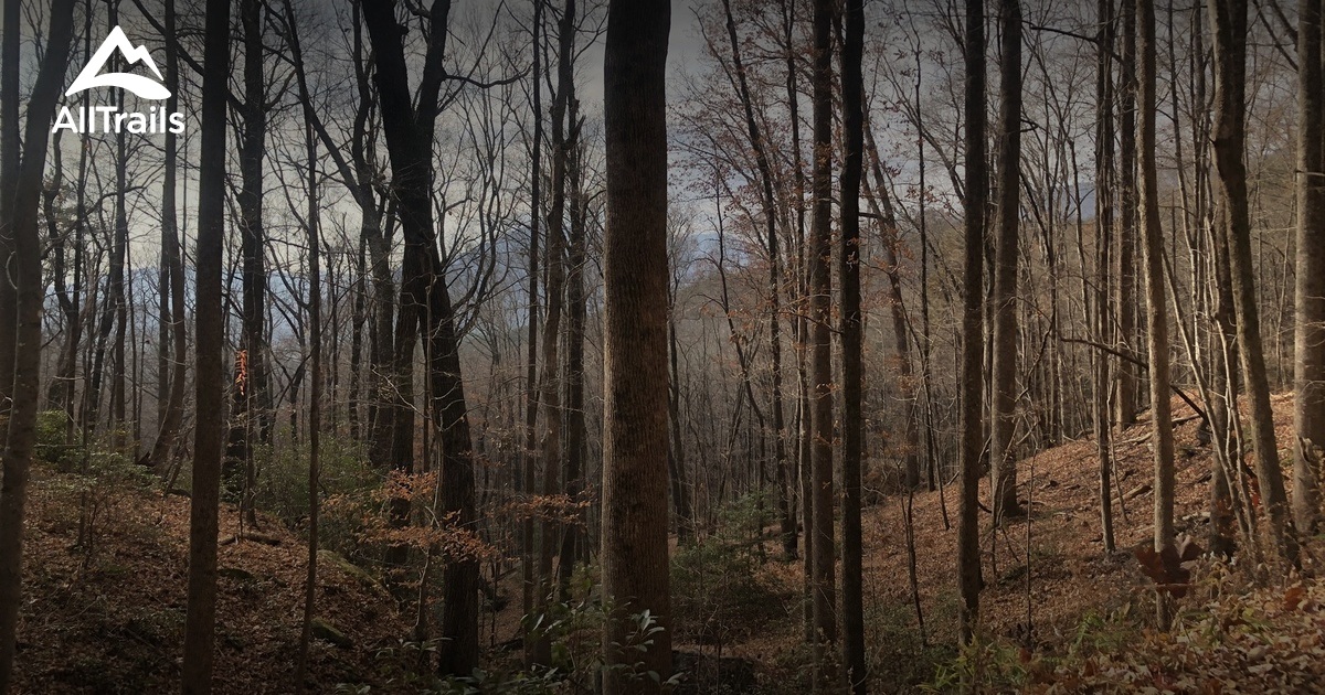 Camp Greenville Hiking List AllTrails