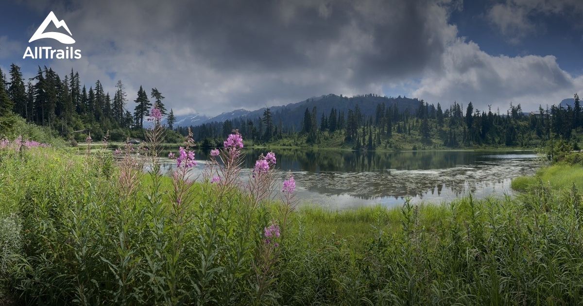 Heather Meadows List AllTrails