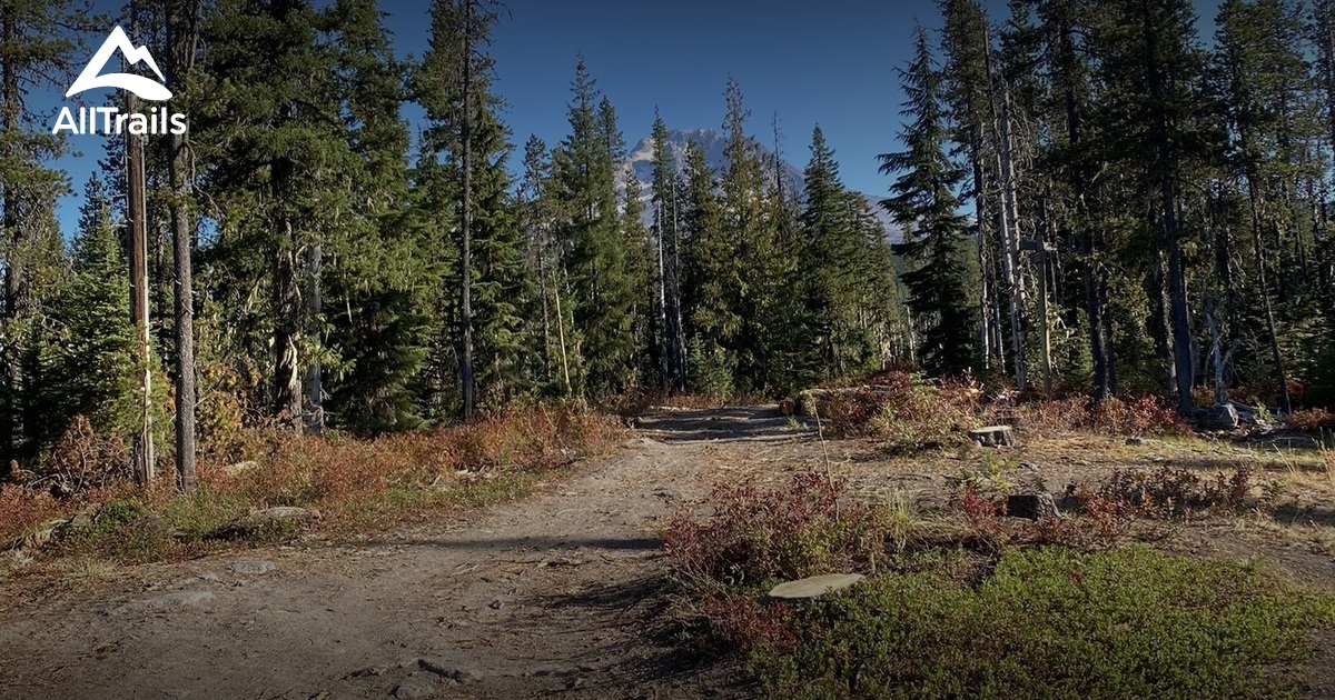 Open Mt. Hood Trails List AllTrails